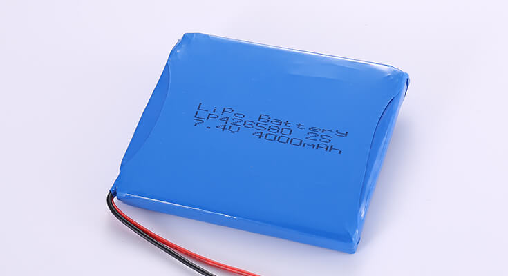 Lithium Ion Polymer Battery