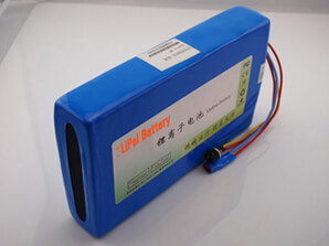 LiFePO4 Battery 24V 36V 48V - LiPol Battery