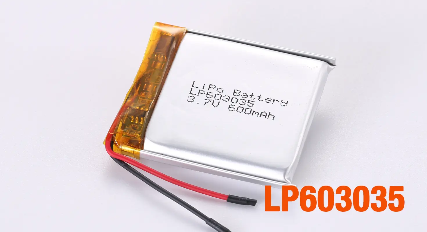 Lithium Ion Polymer Battery