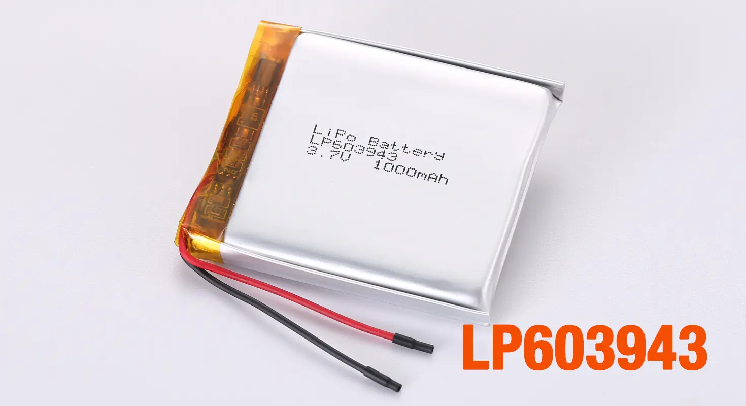 Lithium Ion Polymer Battery