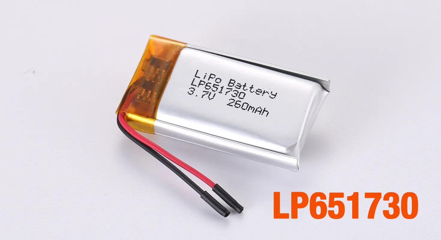 Lithium Ion Polymer Battery