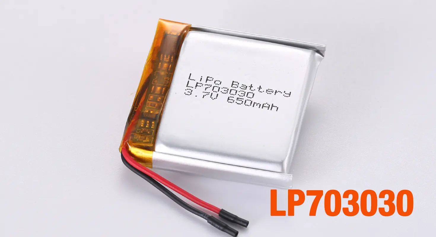 Lithium Ion Polymer Battery