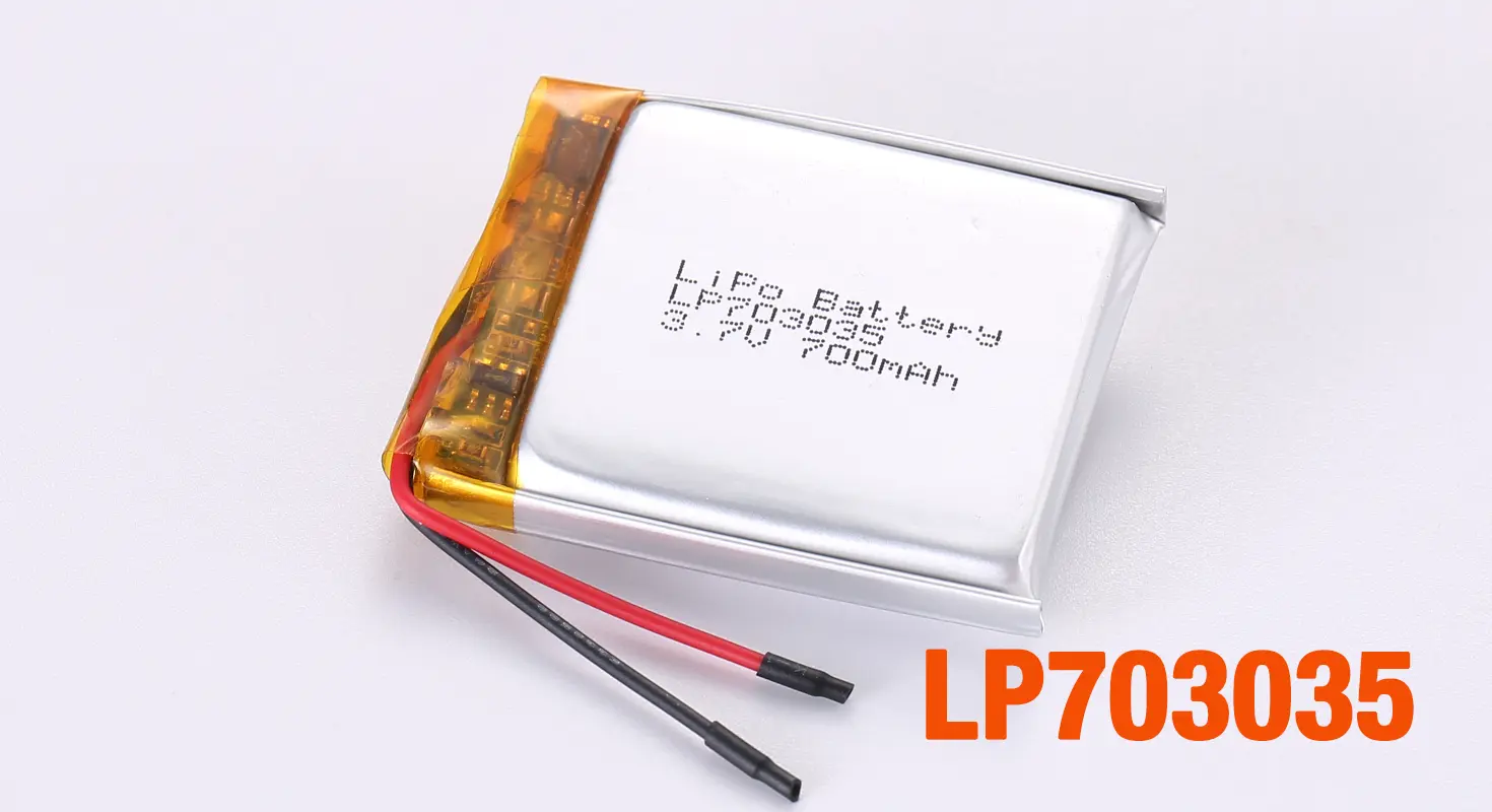 Lithium Ion Polymer Battery