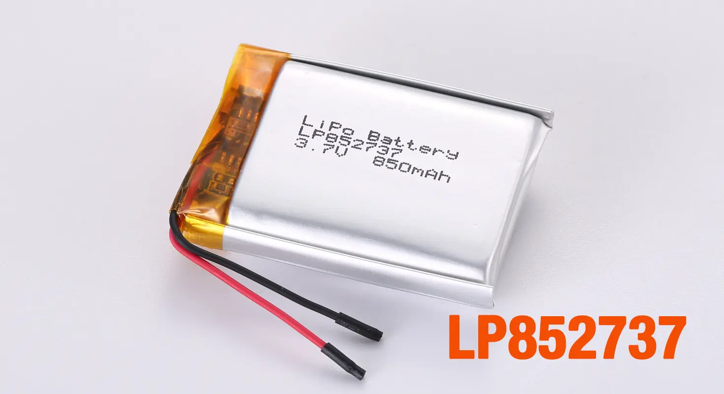 Lithium Ion Polymer Battery