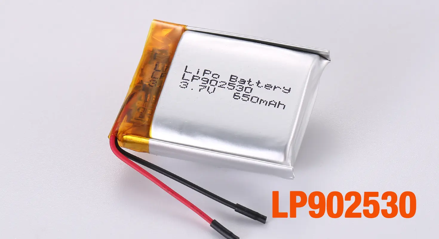 Lithium Ion Polymer Battery